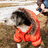 PET LIFE Classic Metallic Fashion Dog Coat Jacket, Medium, Metallic Orange, Parka with 3M Insulation