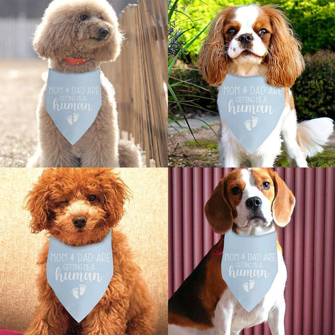 Blue Dog Bandana Baby Announcement Dog Pregnancy Announcement Bandana for Grandparents Pregnancy Gender Reveal Dog