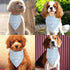 Blue Dog Bandana Baby Announcement Dog Pregnancy Announcement Bandana for Grandparents Pregnancy Gender Reveal Dog