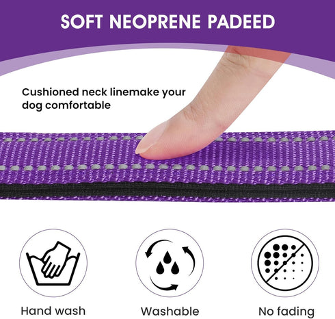 Reflective Dog Collar, Padded Soft Neoprene Breathable Quick Release Basic Collars for Medium Dogs, Purple Girl