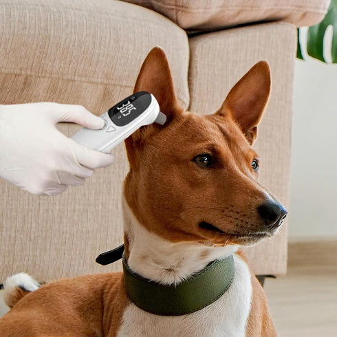 Generic Cat and Dog Ear Temperature Monitor,Pet Only,Dog and Cat Ear Care Supply,Take Pet Temperature Tool