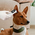 Generic Cat and Dog Ear Temperature Monitor,Pet Only,Dog and Cat Ear Care Supply,Take Pet Temperature Tool