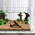 Hamiledyi 10 PCS Natural Driftwood Branches for Fish Tank Habitat Decor, Sinkable Reptile Tree Log Decorations