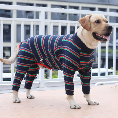 Dog Recovery Suit Abdominal Wound After Surgery Wear, Prevent Licking Wounds E-Collar & Cone Alternatives, Long Sleeve