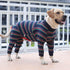 Dog Recovery Suit Abdominal Wound After Surgery Wear, Prevent Licking Wounds E-Collar & Cone Alternatives, Long Sleeve