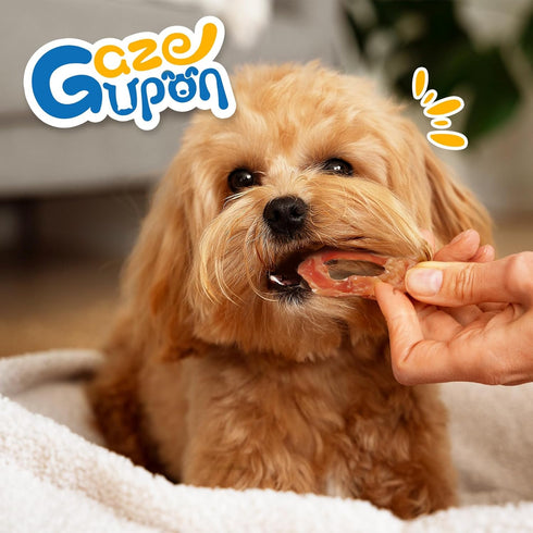 gazeupon Dog Treats Chicken Jerky Rings, Natural Chicken Breast, Healthy Training Rewards for Dogs w/Glucosamine