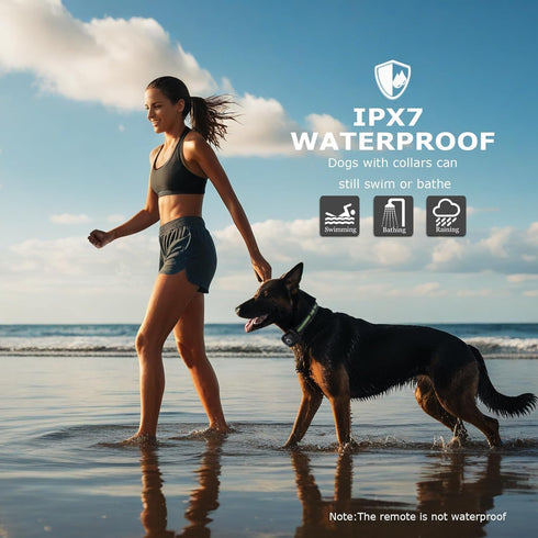 Dog Shock Collar, Training Collar with Remote for Small Medium Large Dogs, Rechargeable with Shock Mode, 3 Safe
