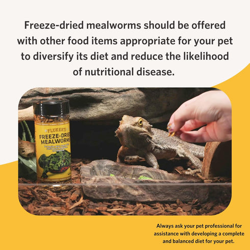 Fluker's Freeze Dried Insects, Mealworms, 1.7 oz, Ideal for Lizards, Reptiles, Birds, Fish