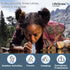 LifeStraw Peak Series Personal Water Filter for Hiking, Camping, Travel, Emergency Preparedness (1 Pack, Mountain Blue)