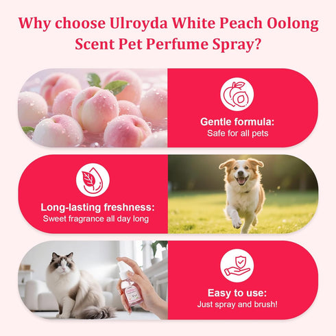 2.37 oz Premium Dog Cologne, White Peach & Oolong Tea Dog Perfume, Long-Lasting Deodorant Spray for Smelly Dogs