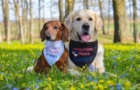 Welcome Home Daddy Decorations Dog Bandana, Black Scarf for Small Pets Military Army Decoration