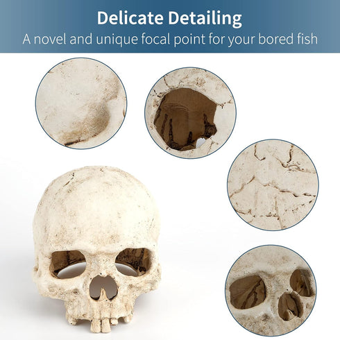 Uniclife Aquarium Skull Reptile House Decor, Resin Head Skeleton Ornament for Tank Landscape