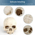 Uniclife Aquarium Skull Reptile House Decor, Resin Head Skeleton Ornament for Tank Landscape