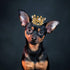 PET SHOW 2pcs Small Dog Crown Headband, Silver Gold Rhinestone Faux Pearl Crown for Birthday Party, Wedding Costume