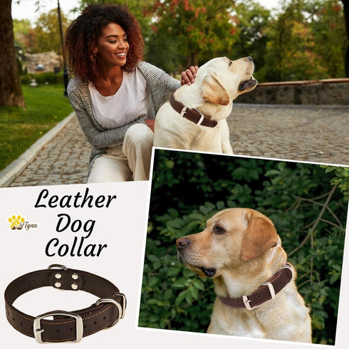 ADITYNA Heavy Duty Black Leather Dog Collar - Soft Medium Dog Collar for Walking, Training, Hiking, Running