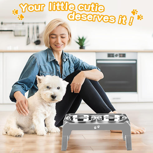 Elevated Dog Bowls for Small Medium Dogs, 3 Height Adjustable Stand with 2 Thick 6" Stainless Steel Bowls