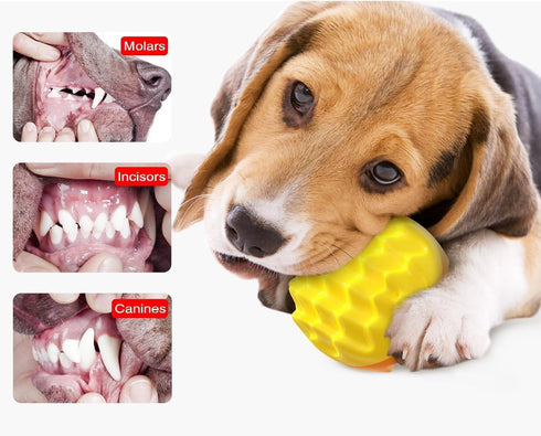 Squeaky Dog Ball Toy for Aggressive Chewers, Dental Rubber Toy for Healthy Teeth & Gums, Durable Floatable Pet Toy