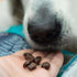 SKIPPER'S Fish Training Treats for Dogs, 80% Steamed Salmon & Trout, Grain Free, 3.5 Oz