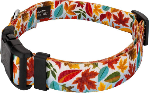 Country Brook Design 1/2 Inch Adjustable Dog Collar, Autumn Fall Collection for Small Medium Large Breeds (Brisk
