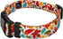 Country Brook Design 1/2 Inch Adjustable Dog Collar, Autumn Fall Collection for Small Medium Large Breeds (Brisk
