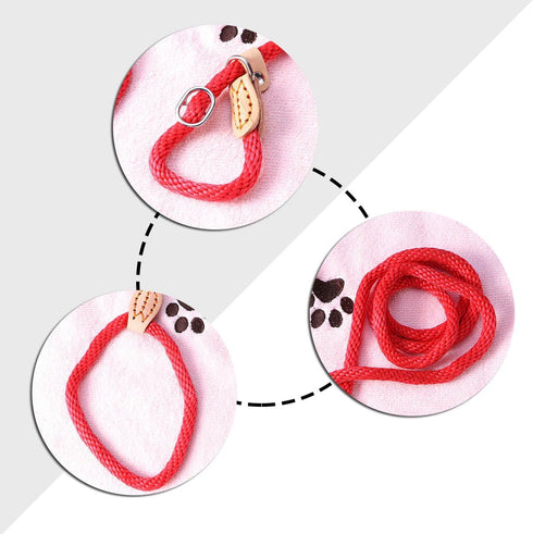 POPETPOP Nylon Dog Slip Training Leash Collar Rope for Pets, Red