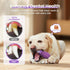 HGB Squeaky Dog Toys for Aggressive Chewers, Tough Indestructible Chew Toy for Large Medium Dogs