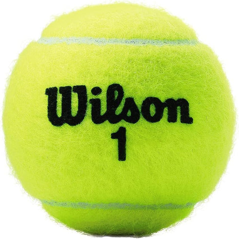 WILSON Championship Tennis Balls - Official US Open Ball