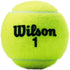 WILSON Championship Tennis Balls - Official US Open Ball