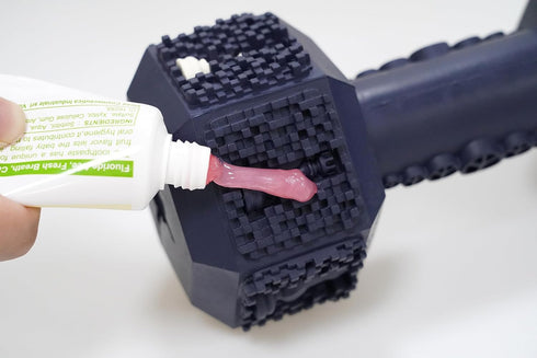 Dog Chew Toy for Aggressive Chewers, Interactive Dental Toy for Training and Cleaning Teeth for Small Medium Dogs