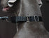 Martingale Dog Collar, Heavy Duty Nylon Dog Collar, Black, Medium