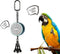 Colorday Bird Toys Parrot Talking Coach & Interactive Voice Bell for Parakeet,