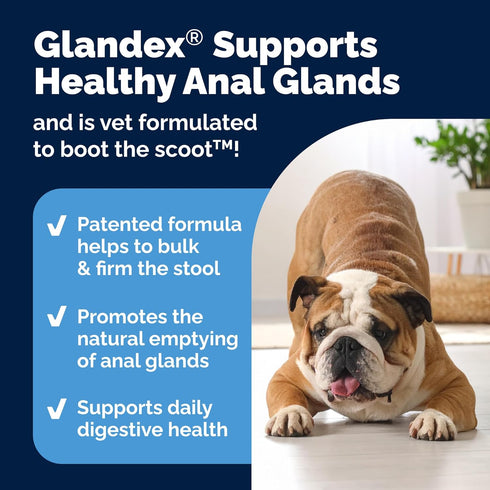 Vetnique Glandex Anal Gland Soft Chew Treats for Dogs, Peanut Butter Chews, 60 Count