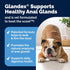 Vetnique Glandex Anal Gland Soft Chew Treats for Dogs, Peanut Butter Chews, 60 Count
