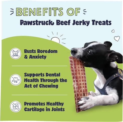 Pawstruck Premium Beef Jerky Dog Treat Chews - 4"-6" Strips for Hip & Joint Health, 15 Count, No Added Preservatives