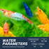 (Pack 10) Mix Neocaridina Shrimps for Freshwater Aquariums