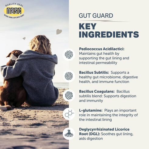 Immune 30 Four Leaf Rover Gut Guard - Dog Probiotics, Prebiotics, and Organic Herbs for Gut Health and Support
