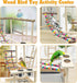 Hamiledyi Bird Playground Parrots Wood Perch Stand Cockatiel Playground Bird Play Gym Colours Climb Ladders Swing
