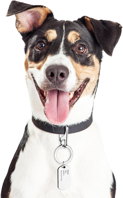 JOVITEC 3 Sets Dog Tag Clip ID Tag with Rings Holder for Dogs and Cats Collars