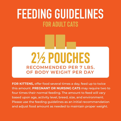 Tiki Cat Aloha Friends, Chicken & Pumpkin Grain-Free Wet Cat Food for All Life Stages, 2.5 oz. Pouch (12 Pack)