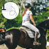 AceOrbit 100 Set 6.5 4.3 (1-100) PP Rectangular Equestrian Numbers x Running Bibs Race Tryout Numbers Holder for Sports