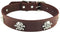 New Skull Dog Collar, Skeleton Design Pet Collar for Dogs and Cats, Brown Medium, Fits Neck Girth 11.5" to 13.5"