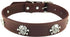 New Skull Dog Collar, Skeleton Design Pet Collar for Dogs and Cats, Brown Medium, Fits Neck Girth 11.5" to 13.5"