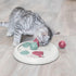 4-Module 9 9 2.5 Trixie Cat Activity Flip Board Treat Puzzle Enrichment Toy for Mental Stimulation & Slow Feeding