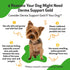 Pet Wellbeing Derma Support Gold for Dogs - Normal Skin Yeast Balance, Occasional Itching, Healthy Odor, Baikal