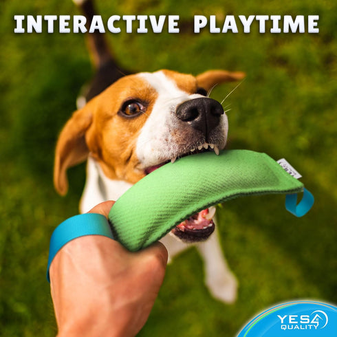 YES4QUALITY Durable Dog Bite Tug Toy (11.8"x3.5"), Green Pull Toy with Blue Handles for Small Medium Dogs
