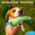 YES4QUALITY Durable Dog Bite Tug Toy (11.8"x3.5"), Green Pull Toy with Blue Handles for Small Medium Dogs