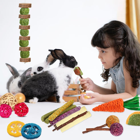 Rabbit Toys Bunny Chew Toys for Teeth, Natural Timothy Hay Sticks Treats and Apple Wood Sticks for Chinchilla and