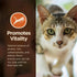 Wellness CORE Digestive Health Probiotic Coated High Protein Dry Cat Food, Salmon & Rice Recipe, 5 Pound Bag