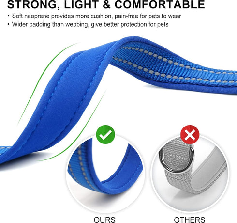 Azuza Reflective Dog Collar, Soft Neoprene Padded with ID Tag Ring, Adjustable for Medium Dogs (Royal Blue, M)