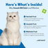 Pet Wellbeing Smooth BM Gold for Cats, Natural Herbal Supplement, Gentle Constipation Relief, 2 oz (59 ml)